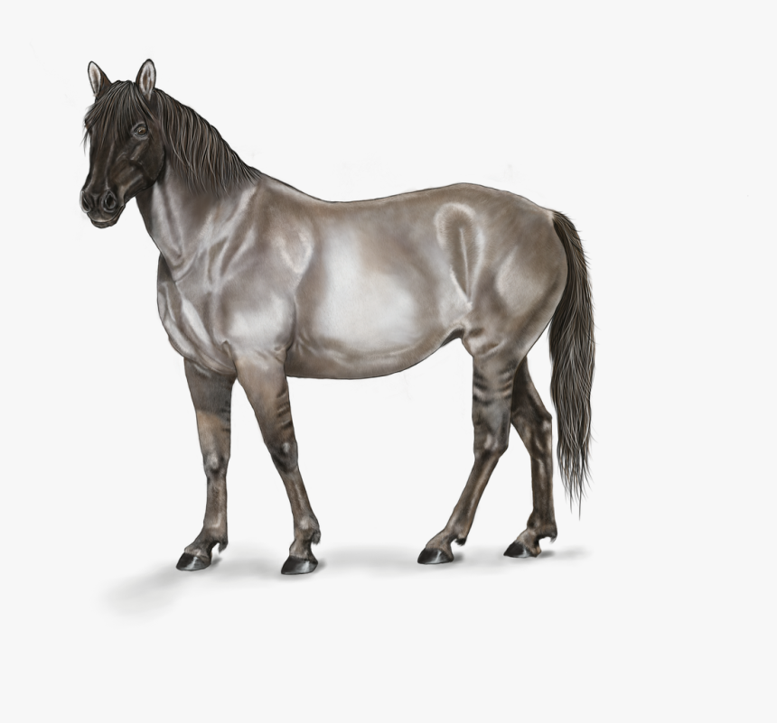 Transparent Horse Head Mask Png - Digital Art Horse, Png Download, Free Download