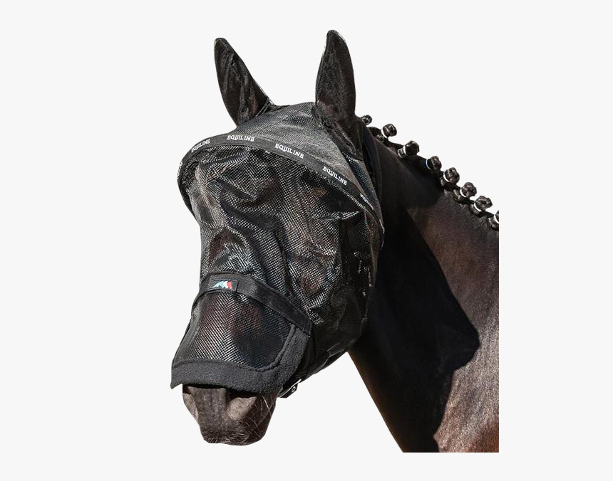 Paddock Mesh Mask Benson By Equiline Horse Fly, Mesh, - Masque Anti Mouche Cheval, HD Png Download, Free Download