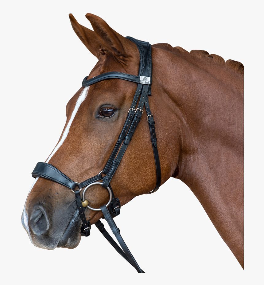 The Fairfax Performance Bridle - Fairfax Bridle, HD Png Download, Free Download