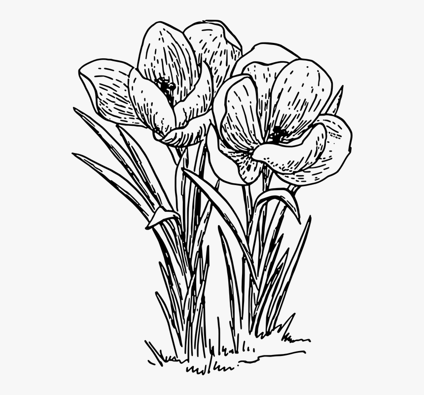 clipart spring flowers black and white drawings