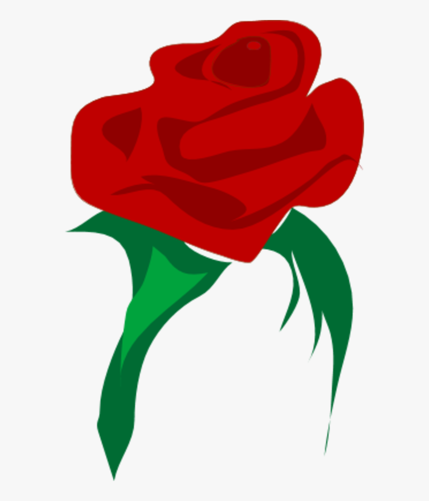 Transparent Rose Vector Png - Red Flower Vector, Png Download, Free Download