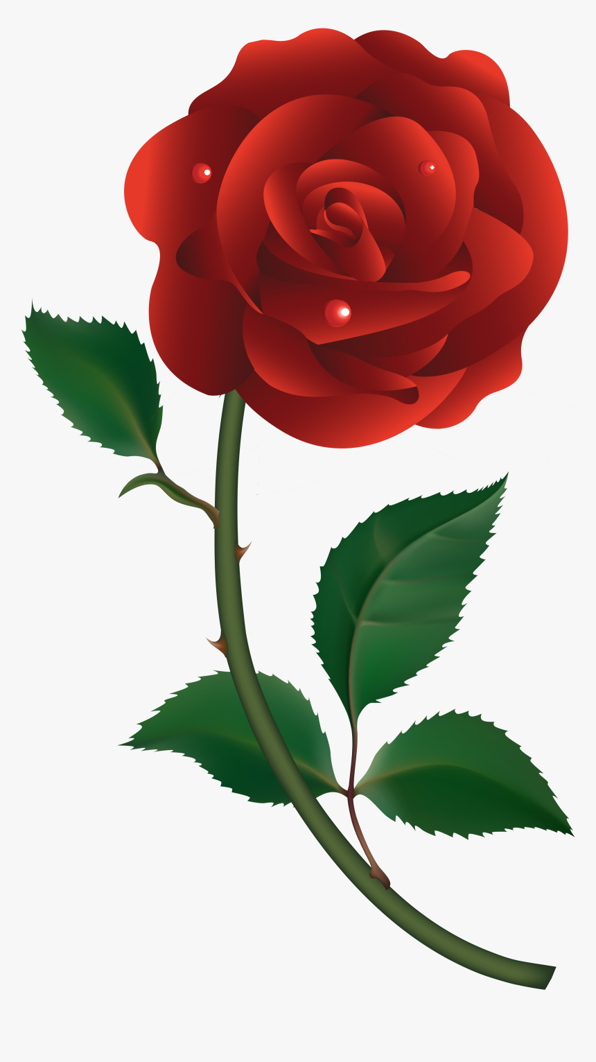 Transparent Rose Vector Png - Transparent Vector Red Rose, Png Download, Free Download