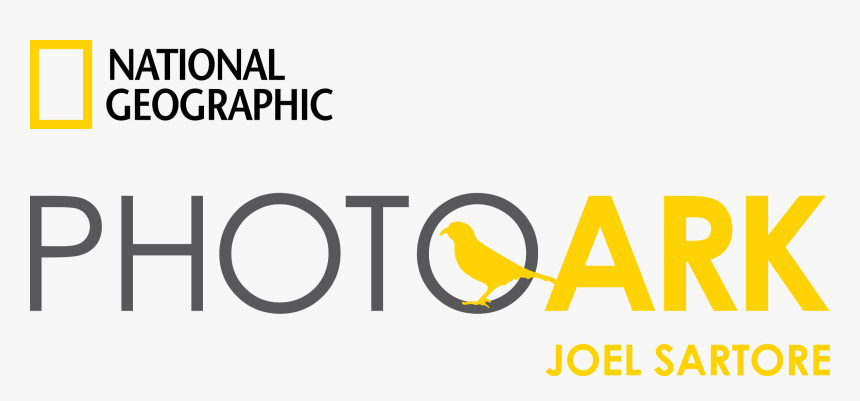 Transparent National Geographic Logo Png - National Geographic Photo Ark Logo, Png Download, Free Download