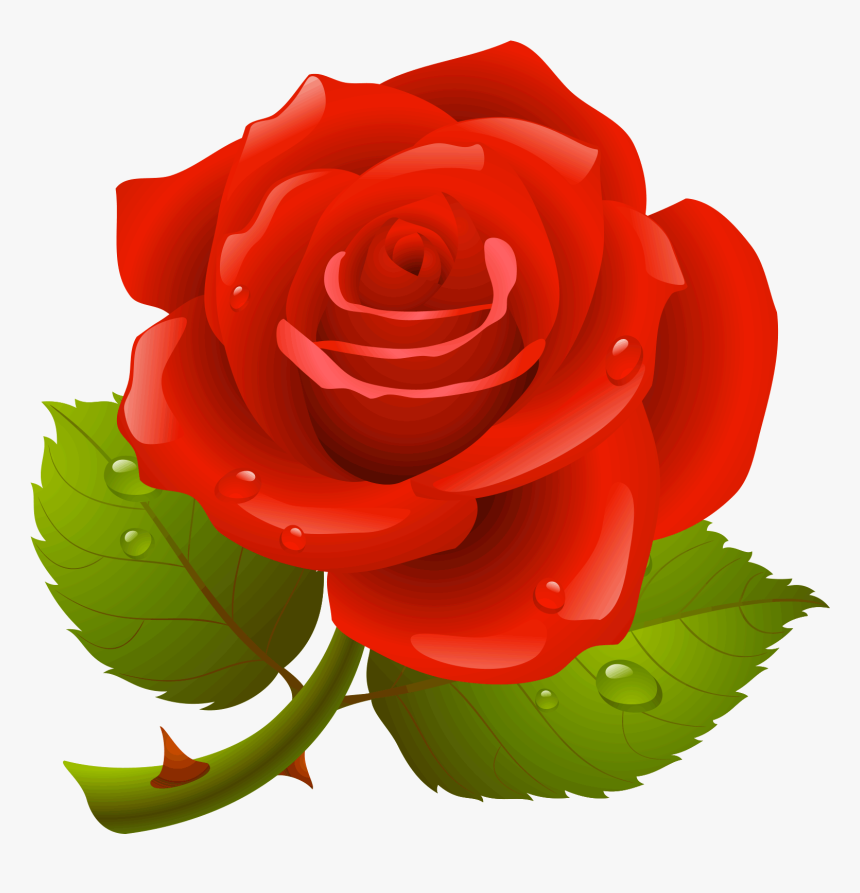 Red Rose Vector Free , Png Download - Rose Hd Photo Download, Transparent Png, Free Download
