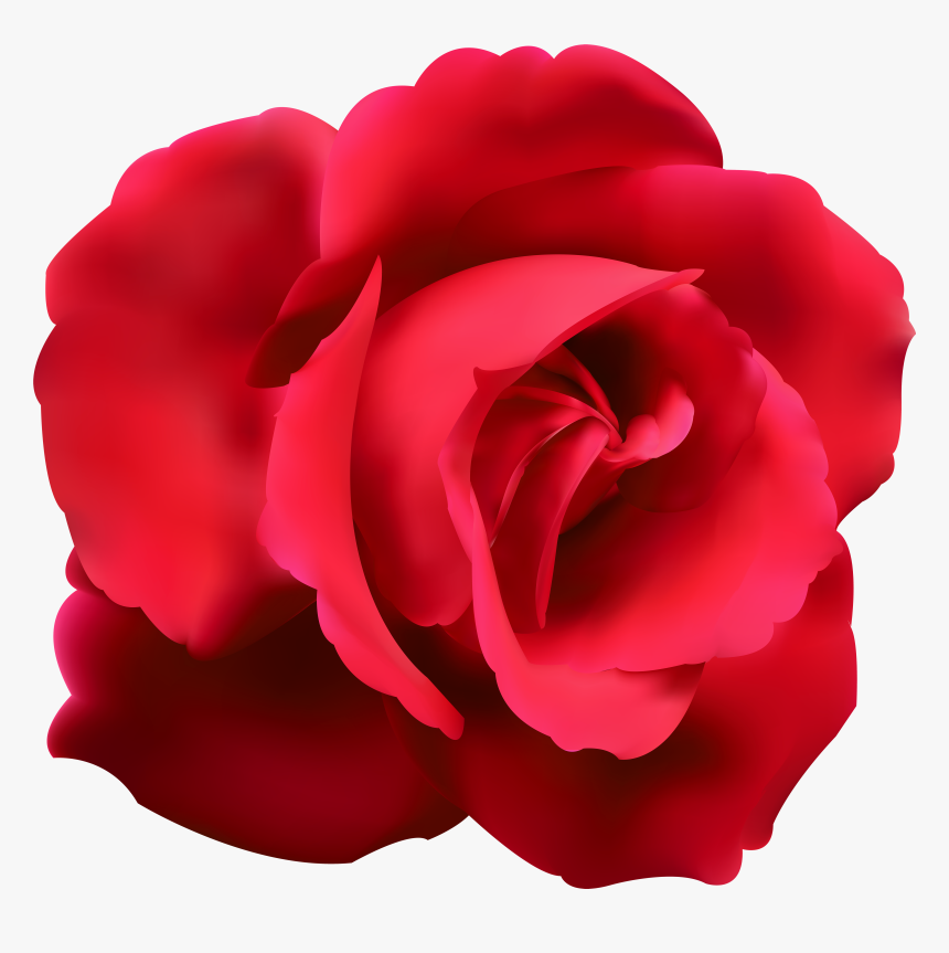 Rose Clip Art Png - Blue Roses Transparent Background, Png Download, Free Download