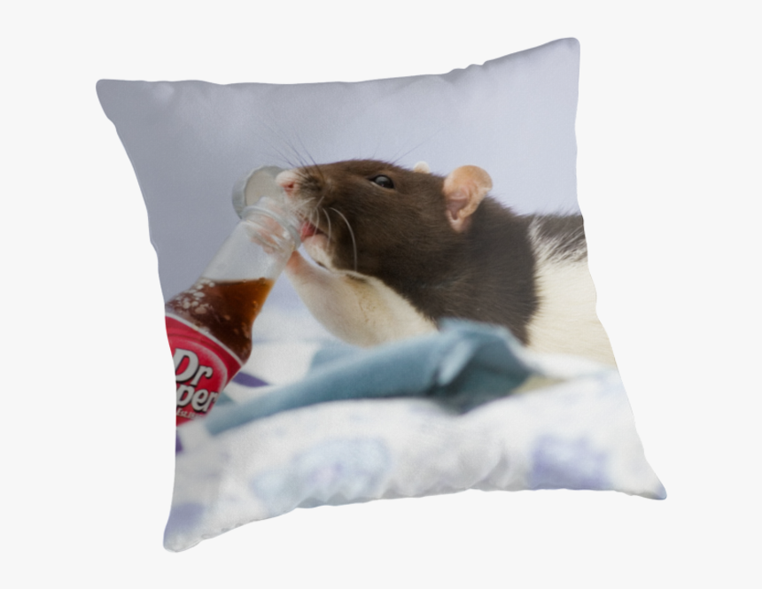 Dr Pepper Can Png -dr Pepper Throw Pillows By Necilbug - Dr Pepper Cool And Funny And Cute Dog, Transparent Png, Free Download