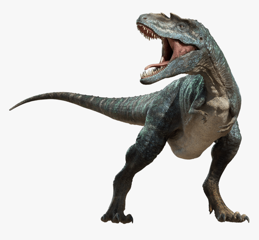 Dinosaur Attack - Dinosaur Png, Transparent Png, Free Download