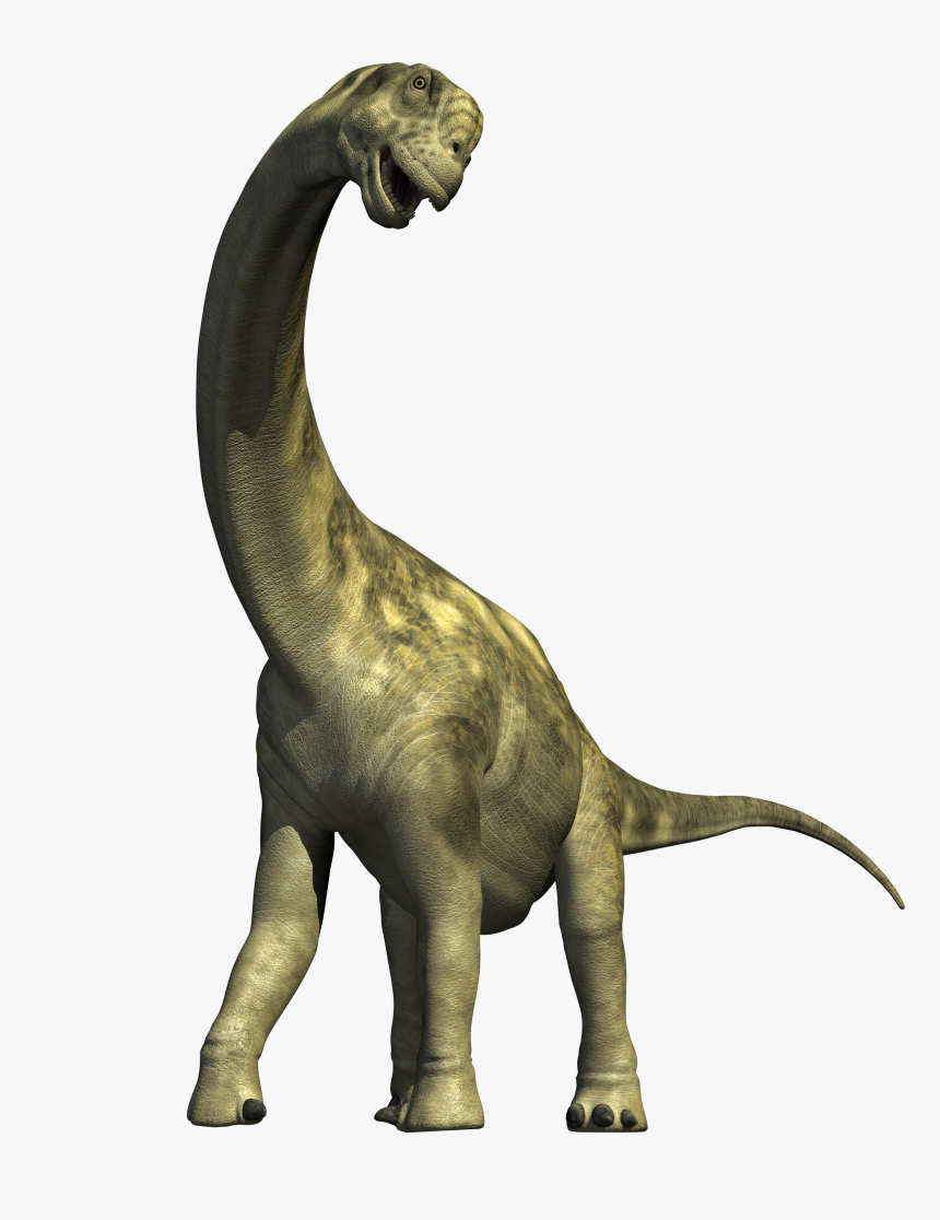 Dinosaur Png Image - Transparent Background Dinosaur Png, Png Download, Free Download