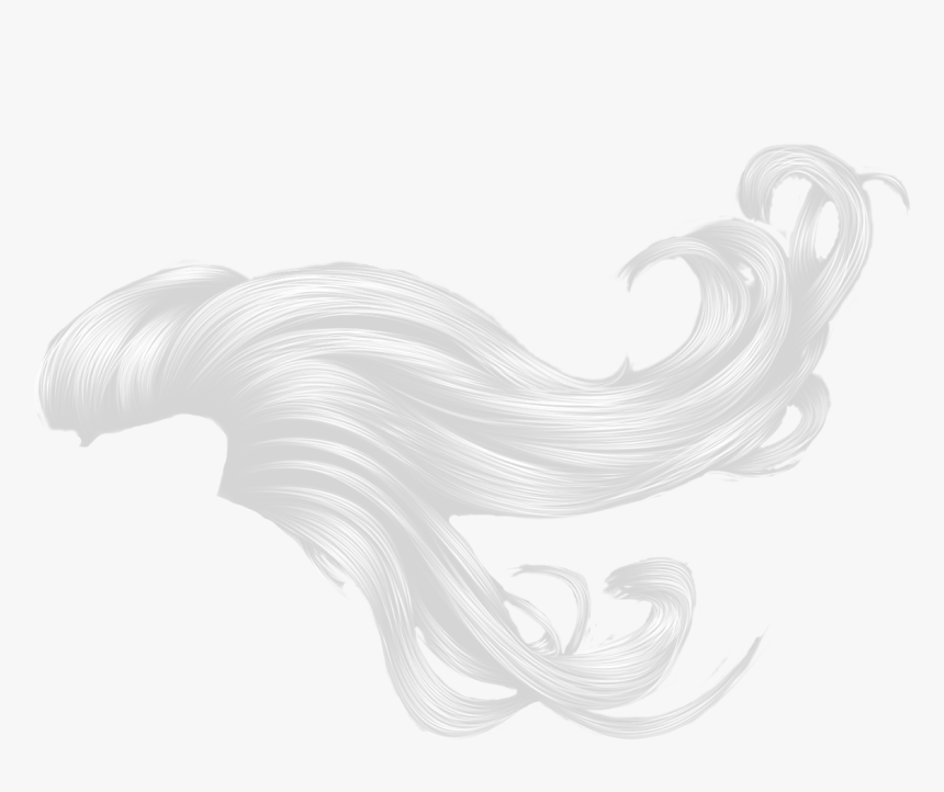 Transparent White Hair Png - Illustration, Png Download, Free Download