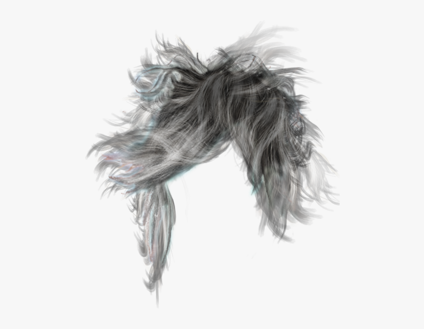 Hair - Long Hair Male Png, Transparent Png, Free Download