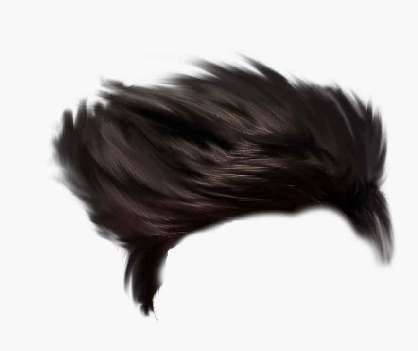 Transparent Stylish Hair Png, Png Download, Free Download