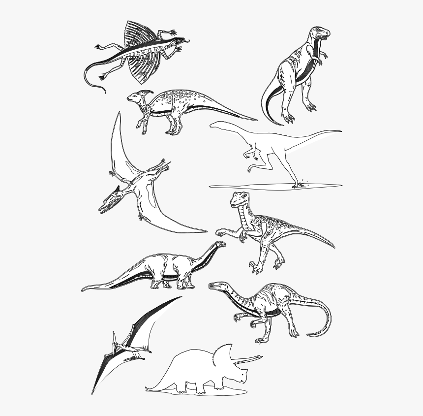 Dinosaurs Black White Line Art Dinosaur 555px - White Clip Art Of Dinosaur, HD Png Download, Free Download