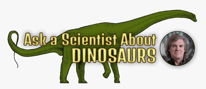Ask A Scientist About Dinosaurs And Headshot Of Mark - Giant Anteater, HD Png Download, Free Download