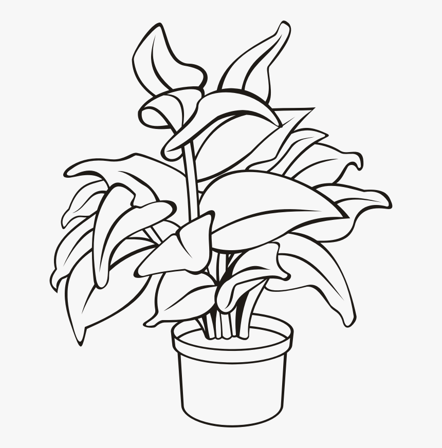 Potted Plant 11 - Potted Plant Line Drawing, HD Png Download, Free Download