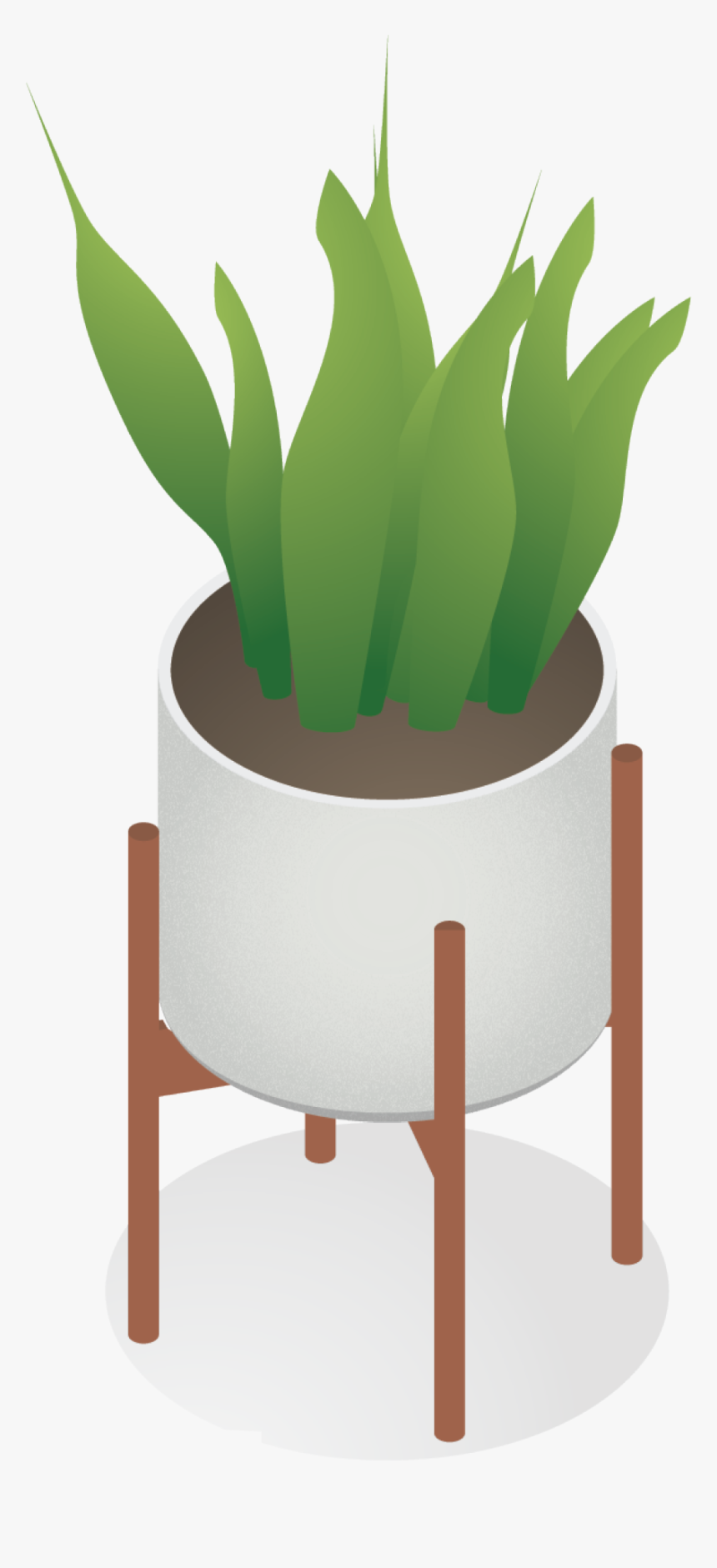 Vector Interior Plants Illustration, HD Png Download, Free Download