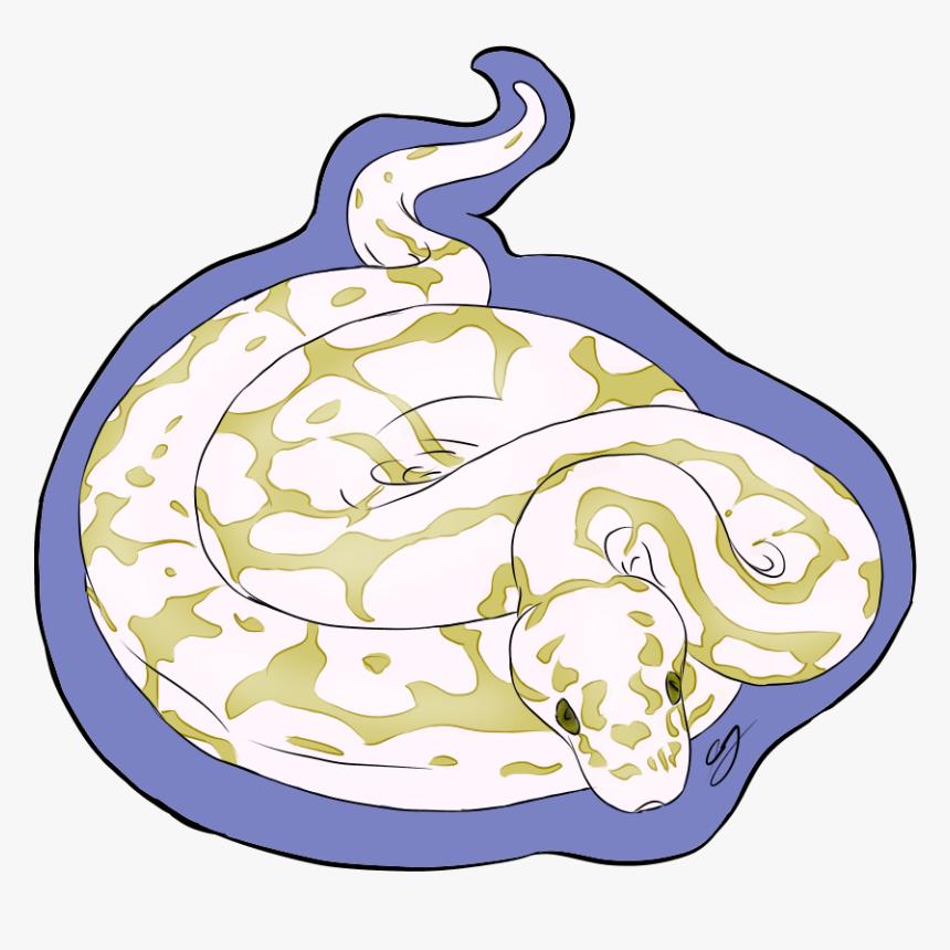 The Ball Python - Illustration, HD Png Download, Free Download