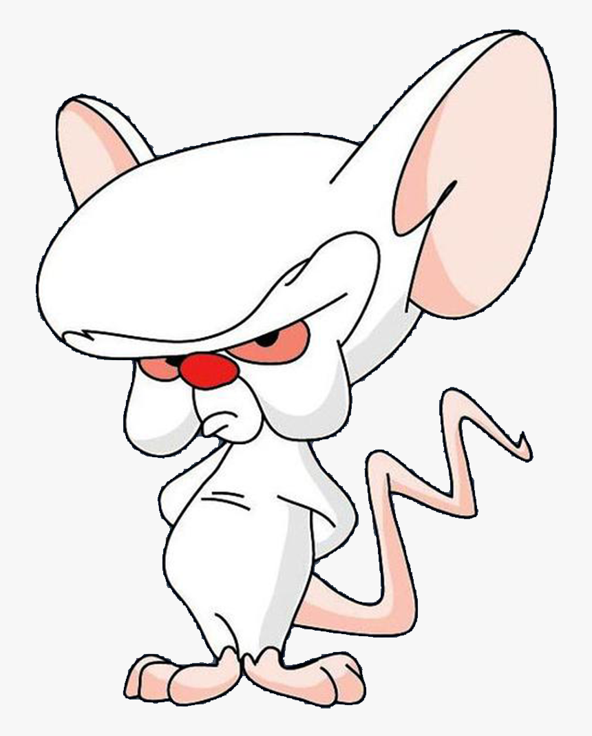 Pinky And The Brain Brain Png, Transparent Png, Free Download