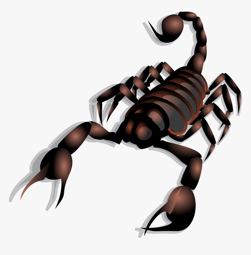 Transparent Scorpio Png - Scorpion Clip Art, Png Download, Free Download