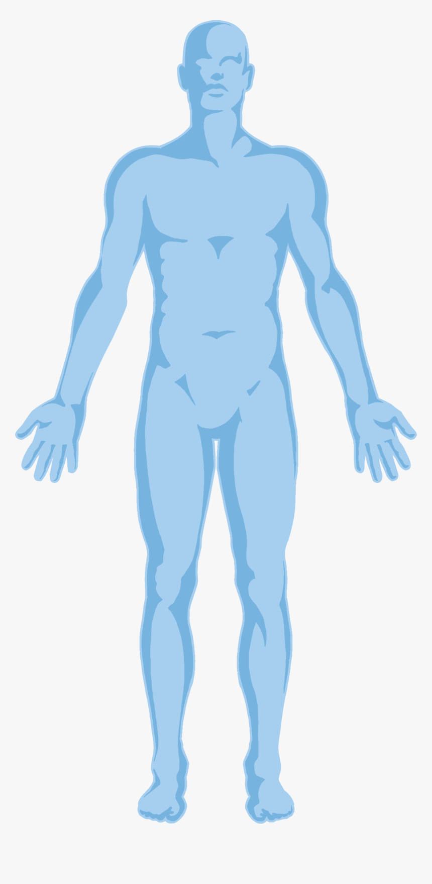 Free Png Human Body Outline - Transparent Background Human Body Outline Png, Png Download, Free Download