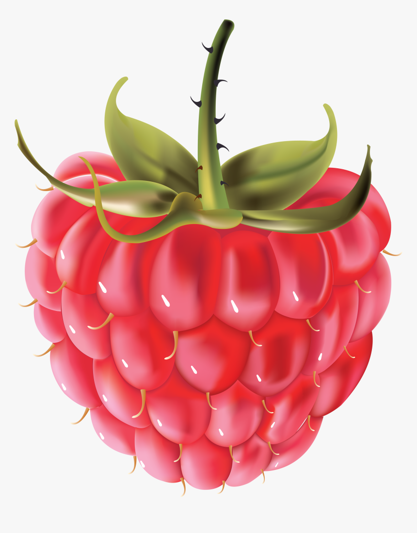 Rraspberry Png Image - Free Vector Raspberry, Transparent Png, Free Download