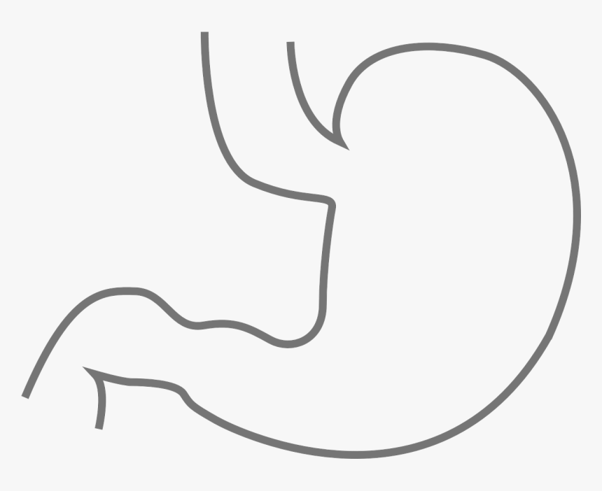 Stomach Black And White, HD Png Download, Free Download
