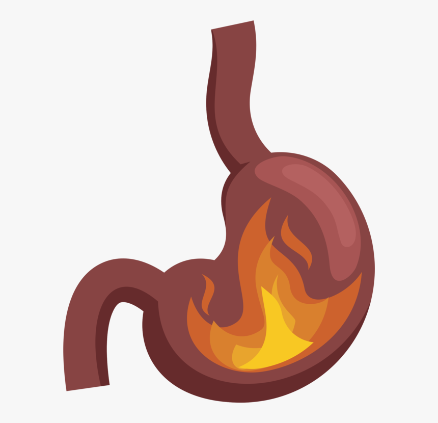 Stomach,food,orange - Stomach Pain Png, Transparent Png, Free Download