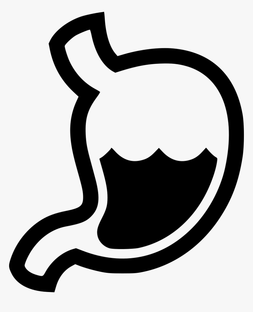 Stomach Digestion Gastritis Organ Gastroenterologist - Digestion Icon, HD Png Download, Free Download