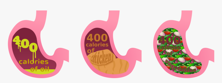 Full Tummy Png - Calories Clipart, Transparent Png, Free Download