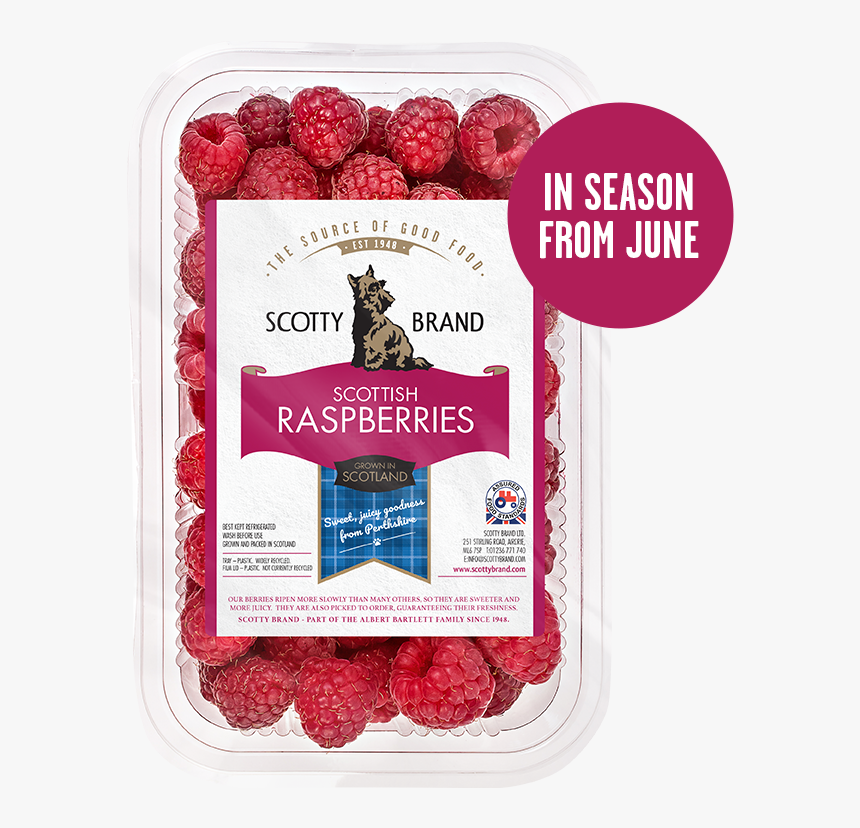 Raspberries - Scotty Brand Raspberries, HD Png Download, Free Download