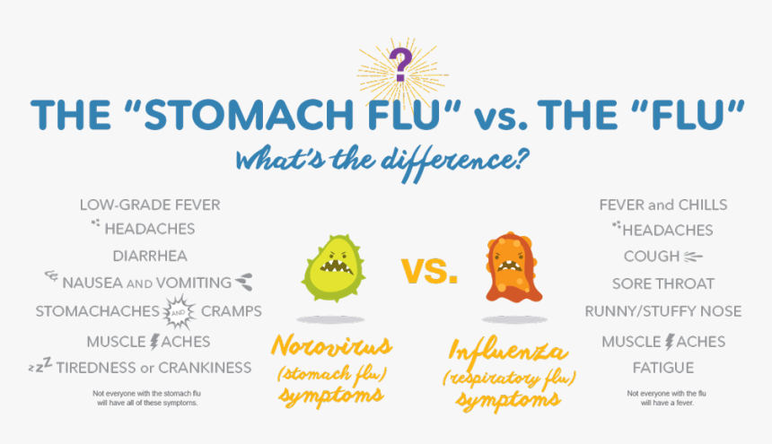 The Difference Between Stomach Flu And - Stomach Flu Symptoms, HD Png Download, Free Download