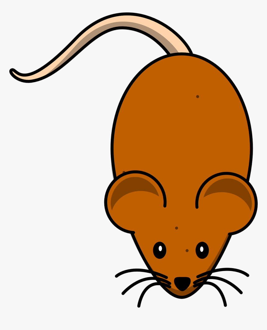 Mouse Clipart, HD Png Download, Free Download