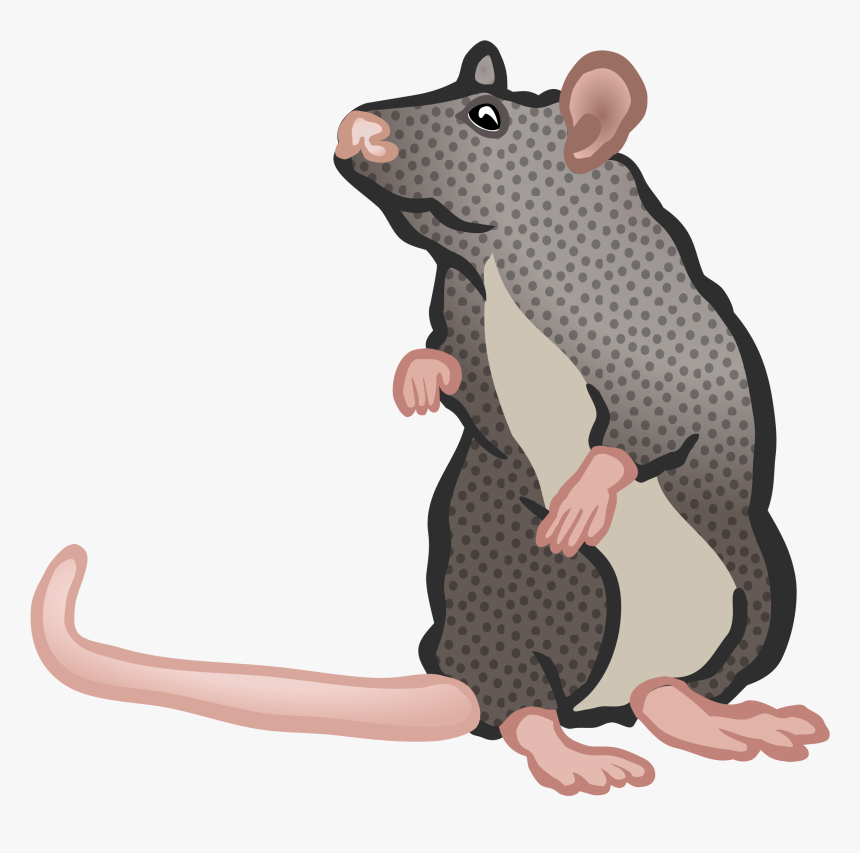 Transparent Mouse Animal Png - Rats Clipart Transparent Background, Png Download, Free Download