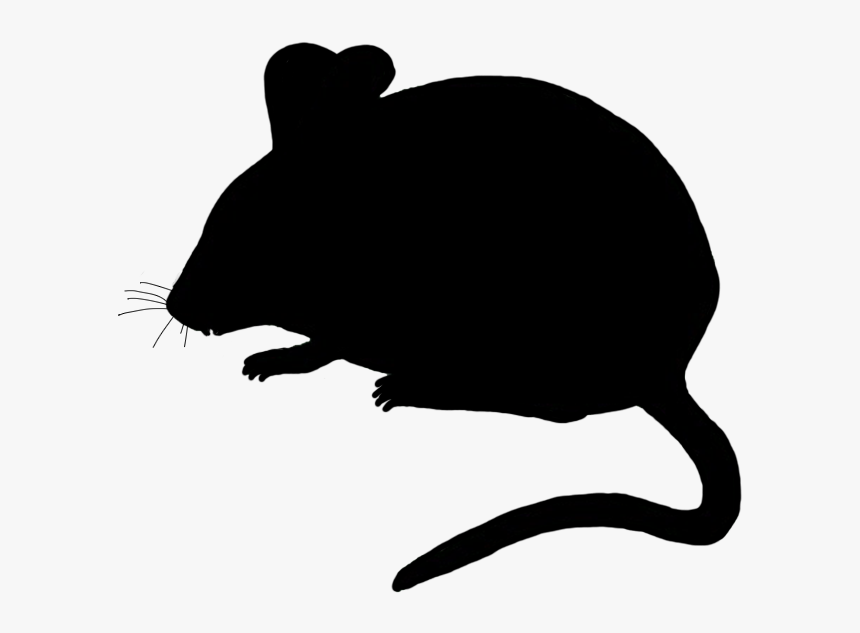 Cute Mouse Silhouette - Mouse Silhouette Png, Transparent Png, Free Download