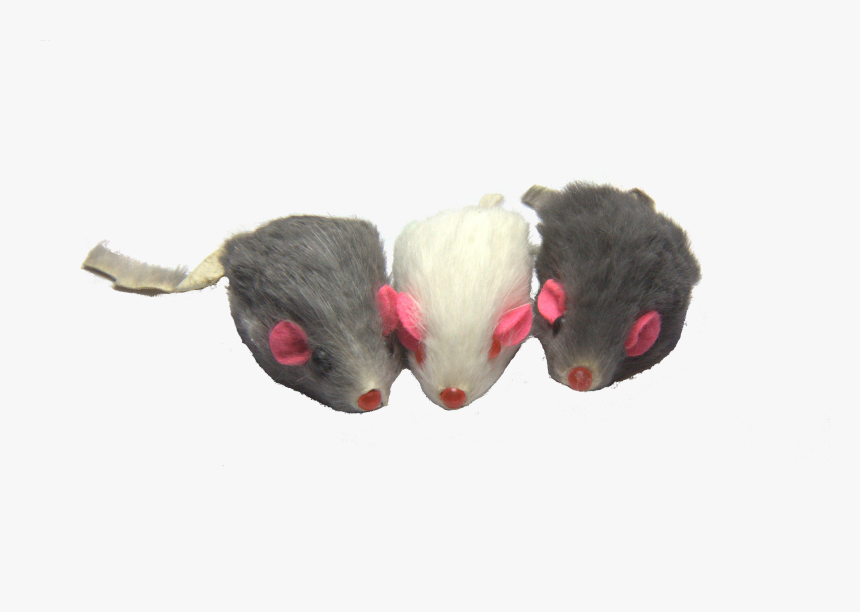 Mouse Animal Png, Transparent Png, Free Download