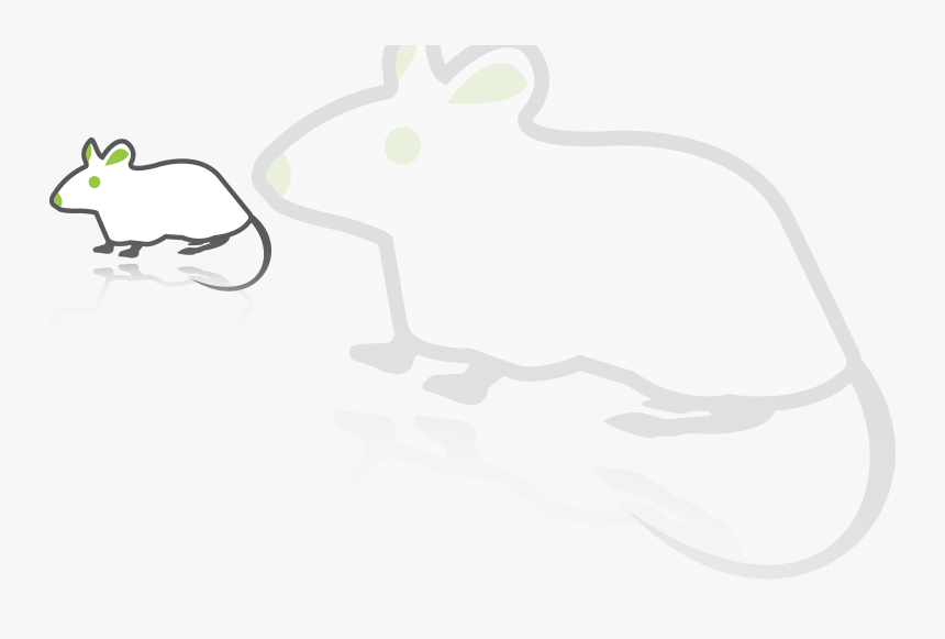 Animals Caron - Animals, HD Png Download, Free Download