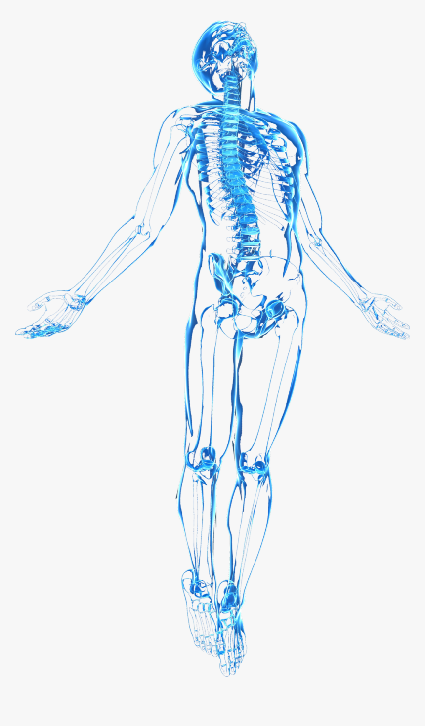 Transparent Human Figure Png - Sketch Human Body Png, Png Download, Free Download