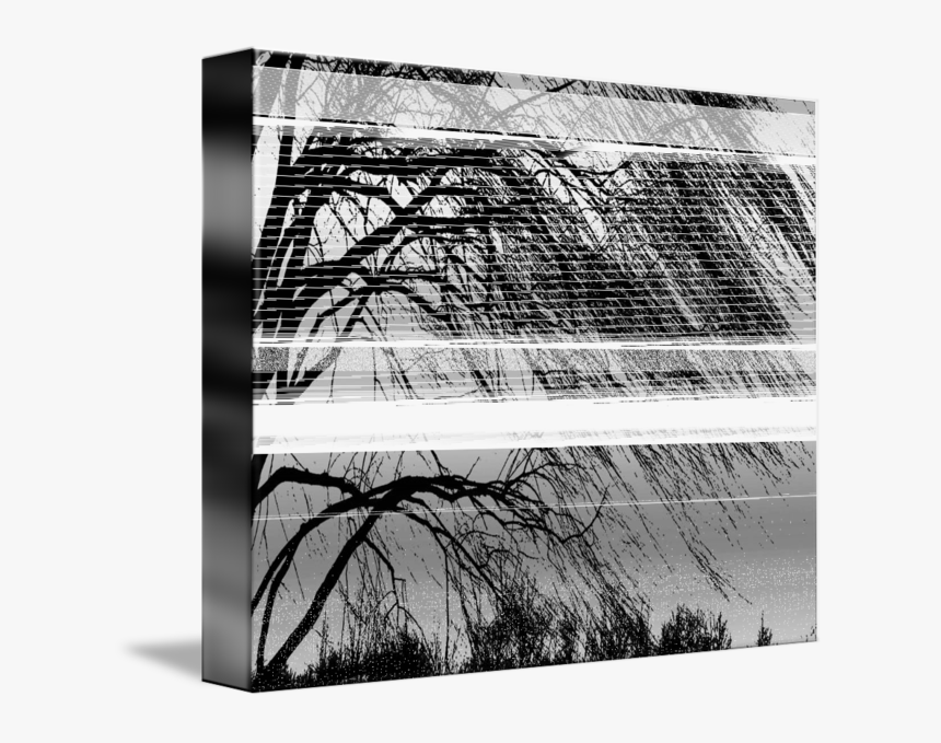 Black And White Willow Tree - Painting Purple Weeping Willow Tree, HD Png Download, Free Download