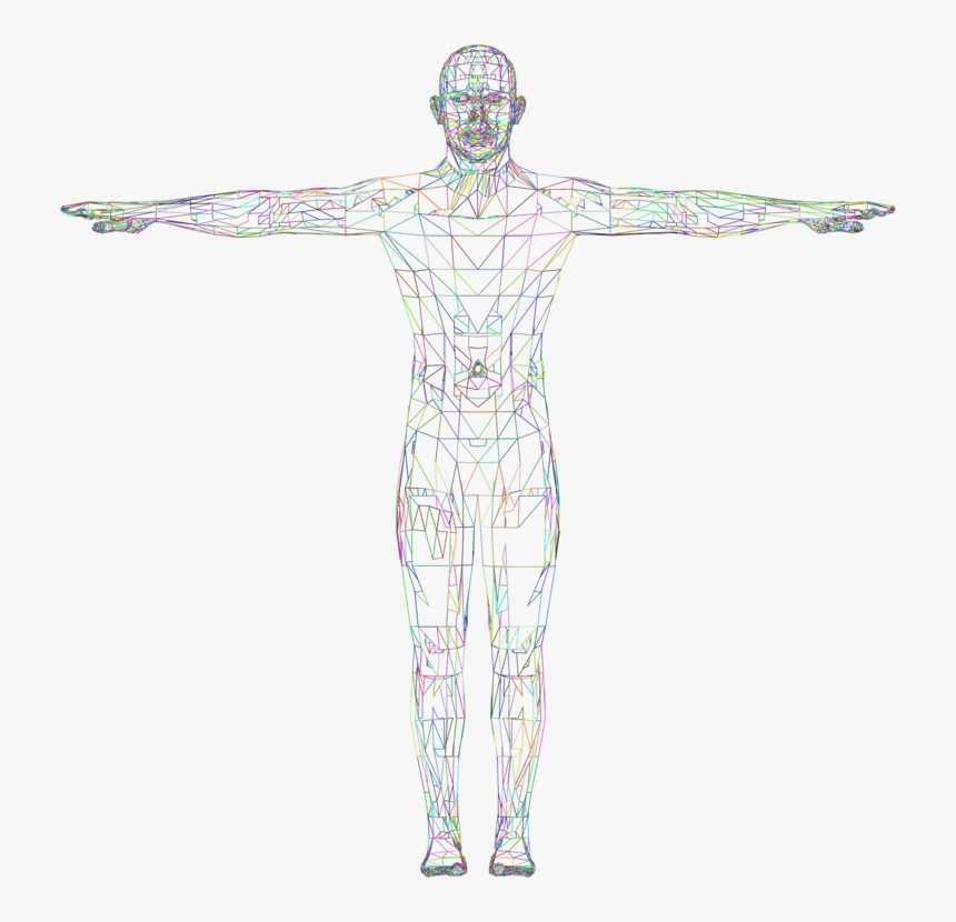 Shoulder,standing,muscle - 3d Wireframe Body Png, Transparent Png, Free Download