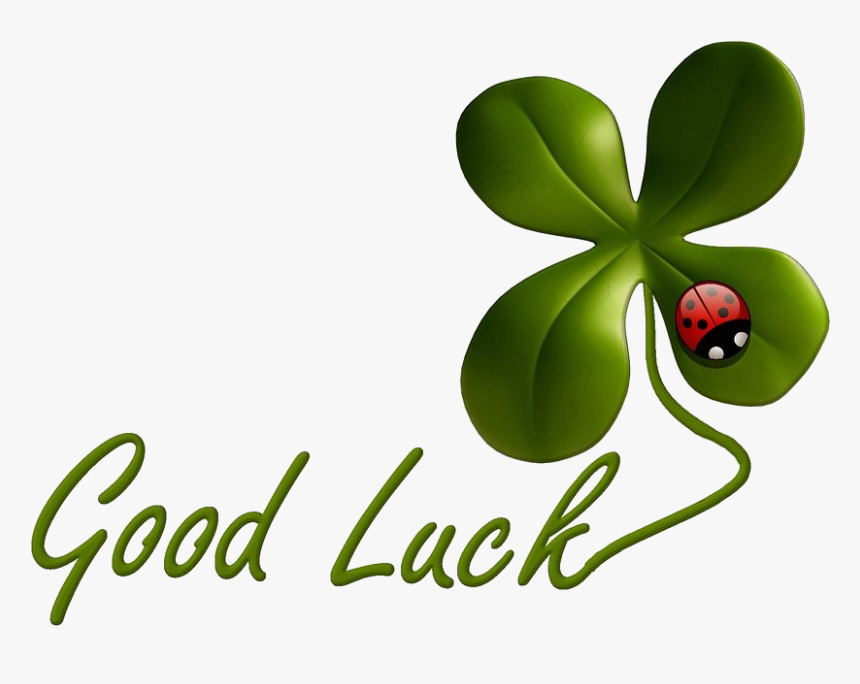 Nothing But Good Luck - Good Luck With Test, HD Png Download, Free Download