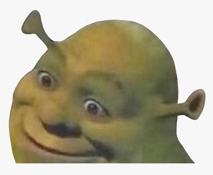 Meme Pfp Memes Meme Funny Idk Shrek Shrekmeme Freetoedit Old People ...