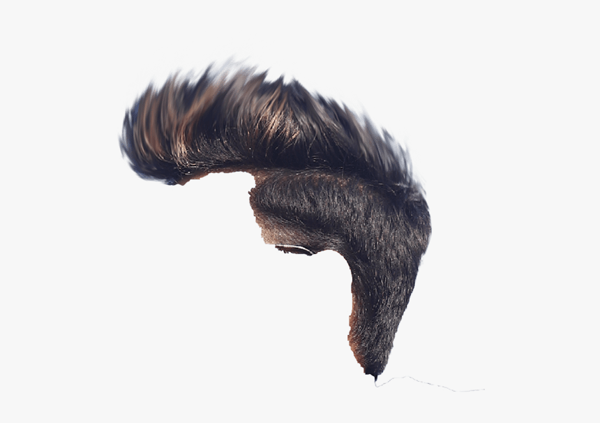 One Side Hair Png, Transparent Png - kindpng One Side Hair Png, Transparent Png - kindpng