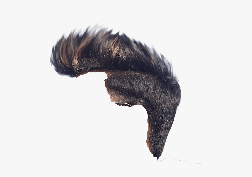 One Side Hair Png, Transparent Png, Free Download