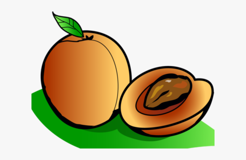 Png Download , Png Download - Apricots Clipart, Transparent Png, Free Download