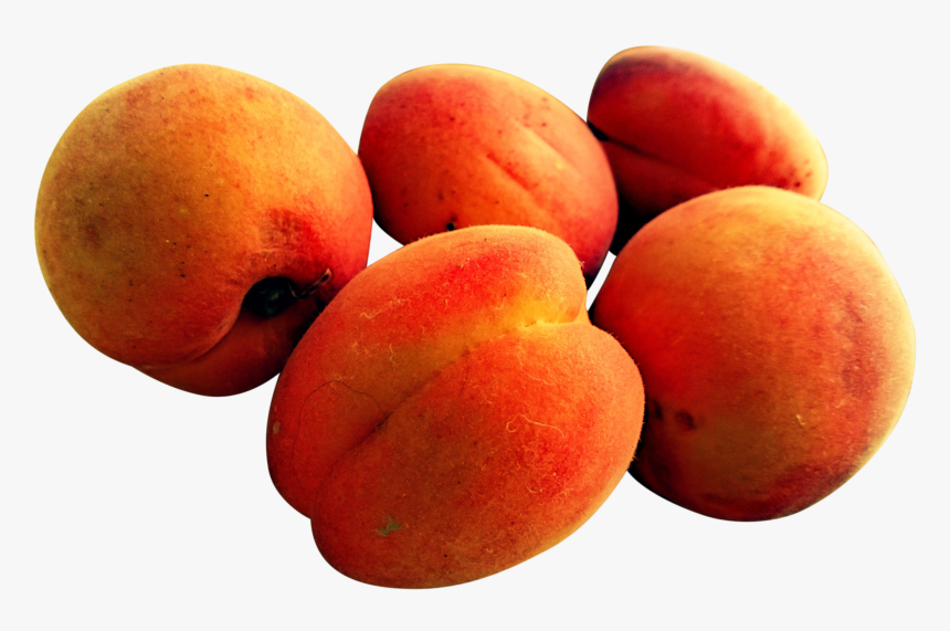 Nectarines, HD Png Download, Free Download