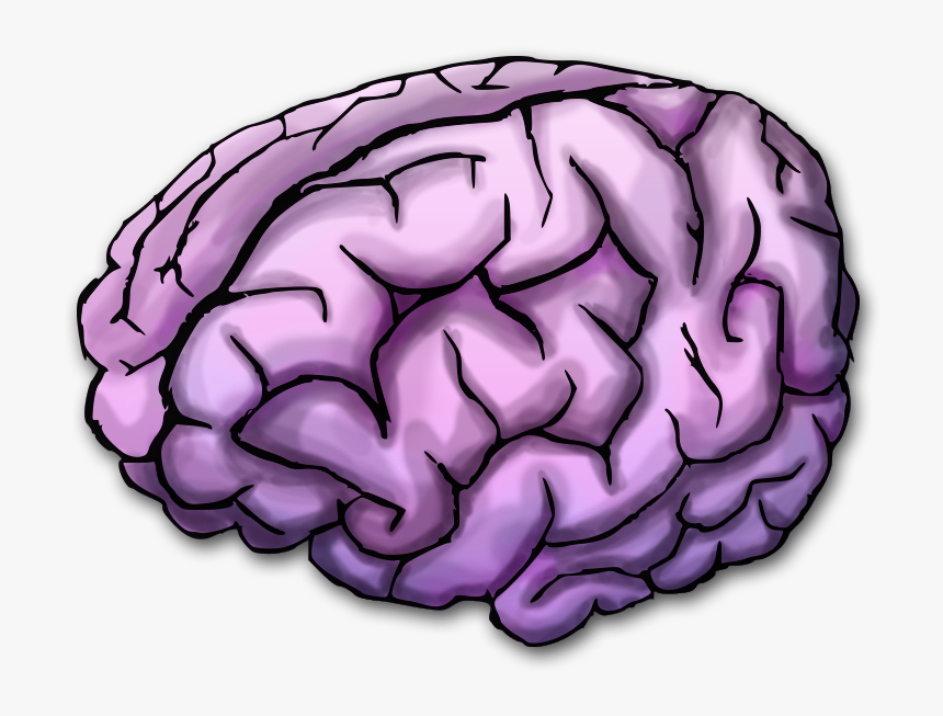 Vector Freeuse Stock Purple Transparent Brain - Purple Brain Transparent Background, HD Png Download, Free Download