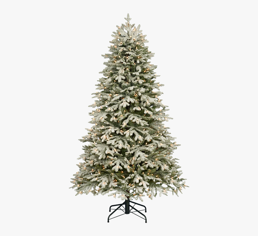 Christmas, Snow, Isolated, Fir Tree, Christmas Time - Twinkly Twinkly Christmas Tree Usborne, HD Png Download, Free Download