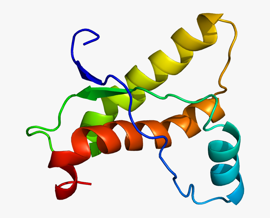 A Healthy Prion Protein - Prion Protein, HD Png Download, Free Download