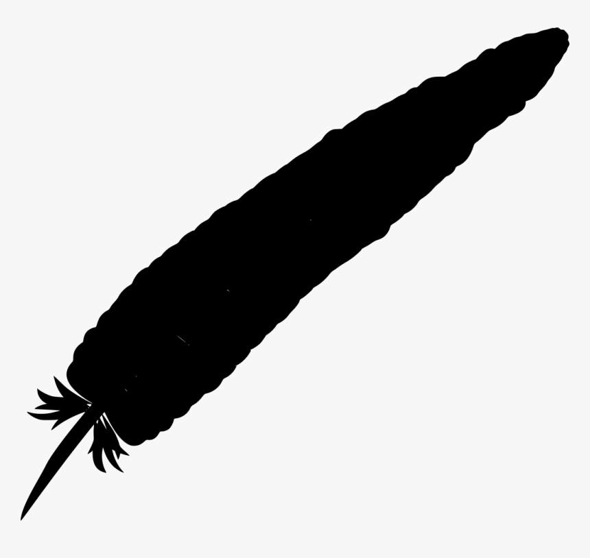 Feather, HD Png Download, Free Download