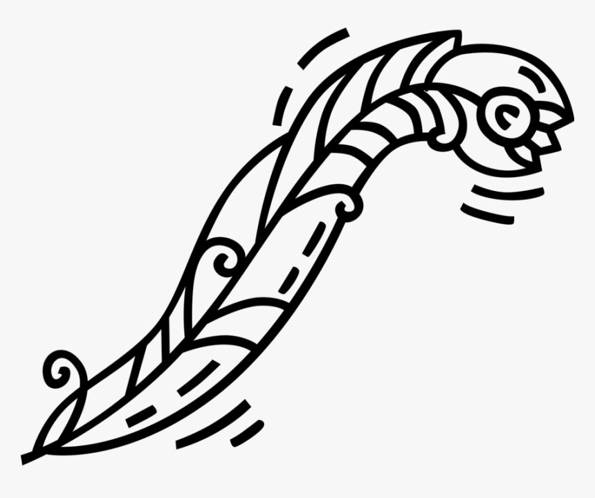 Vector Illustration Of Feather Quill Pen Writing Instrument - Line Art, HD Png Download, Free Download