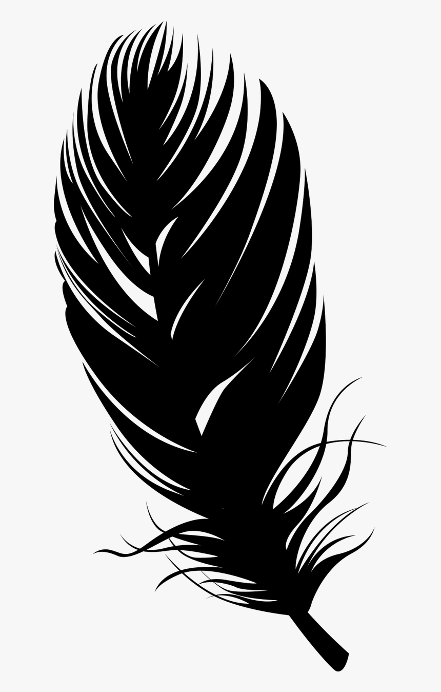 Feather Silhouette Png - Bird Feather Silhouette Png, Transparent Png, Free Download